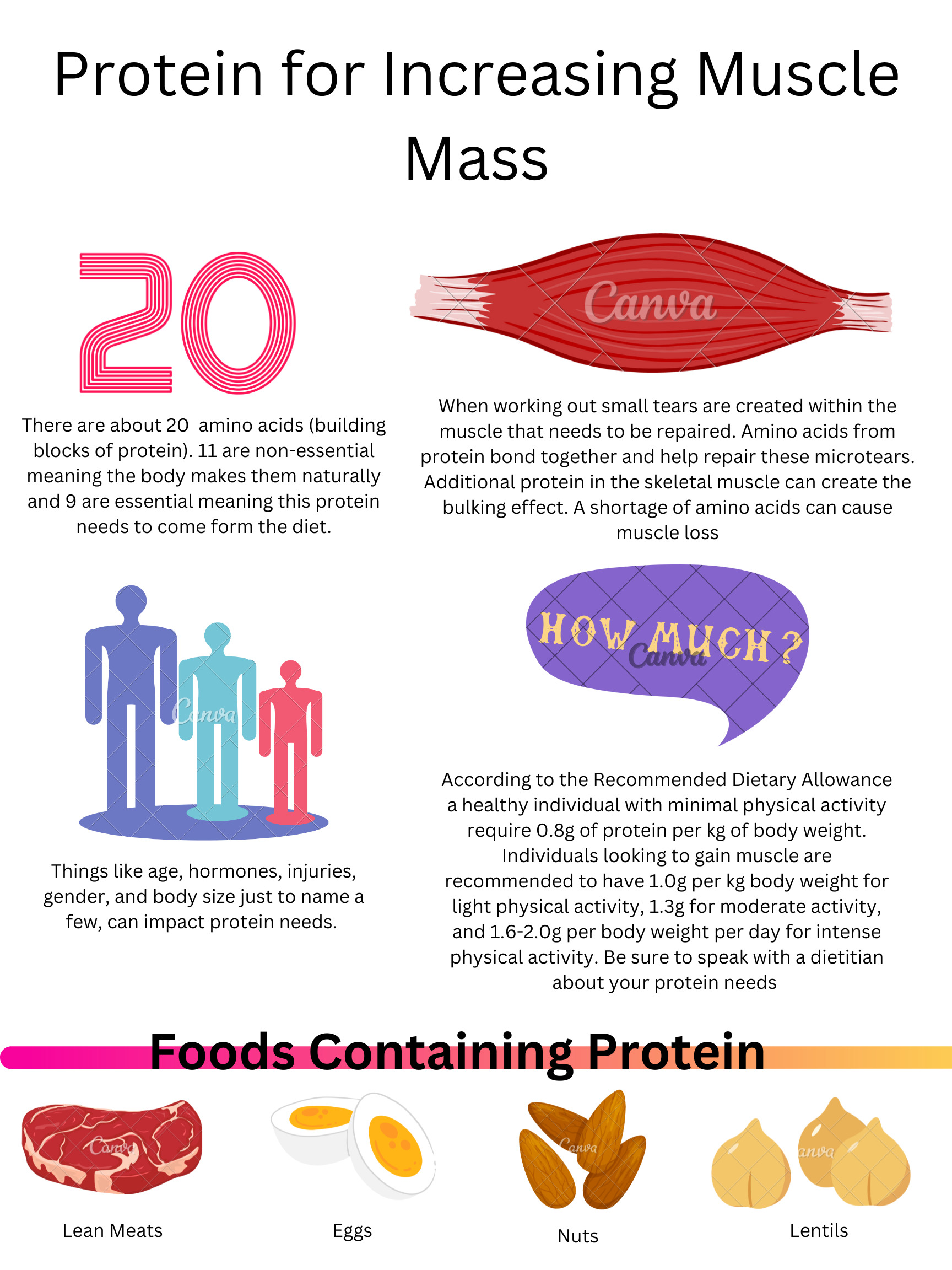 Protein options for increasing muscle mass