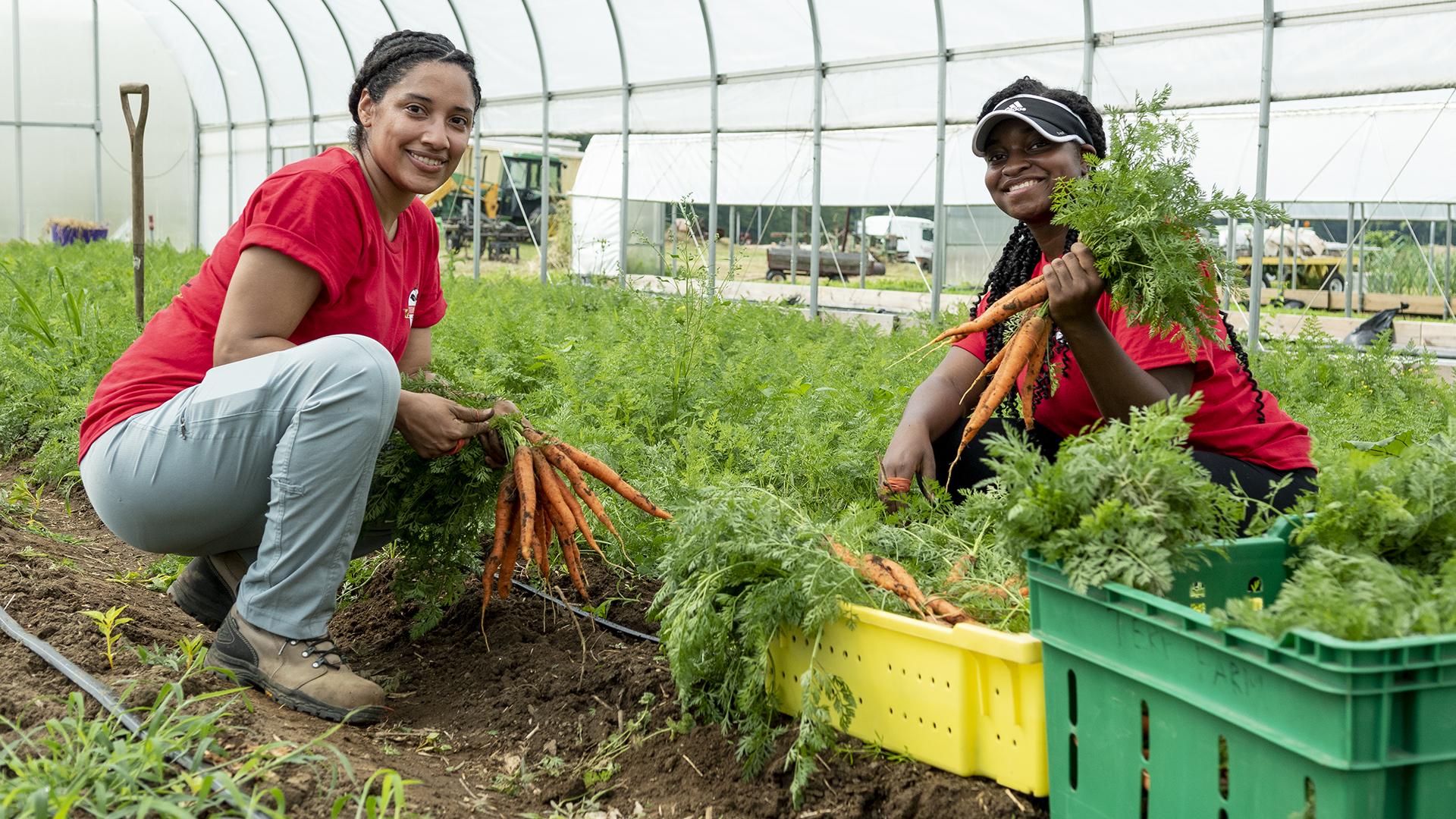 Terp Farm 2021