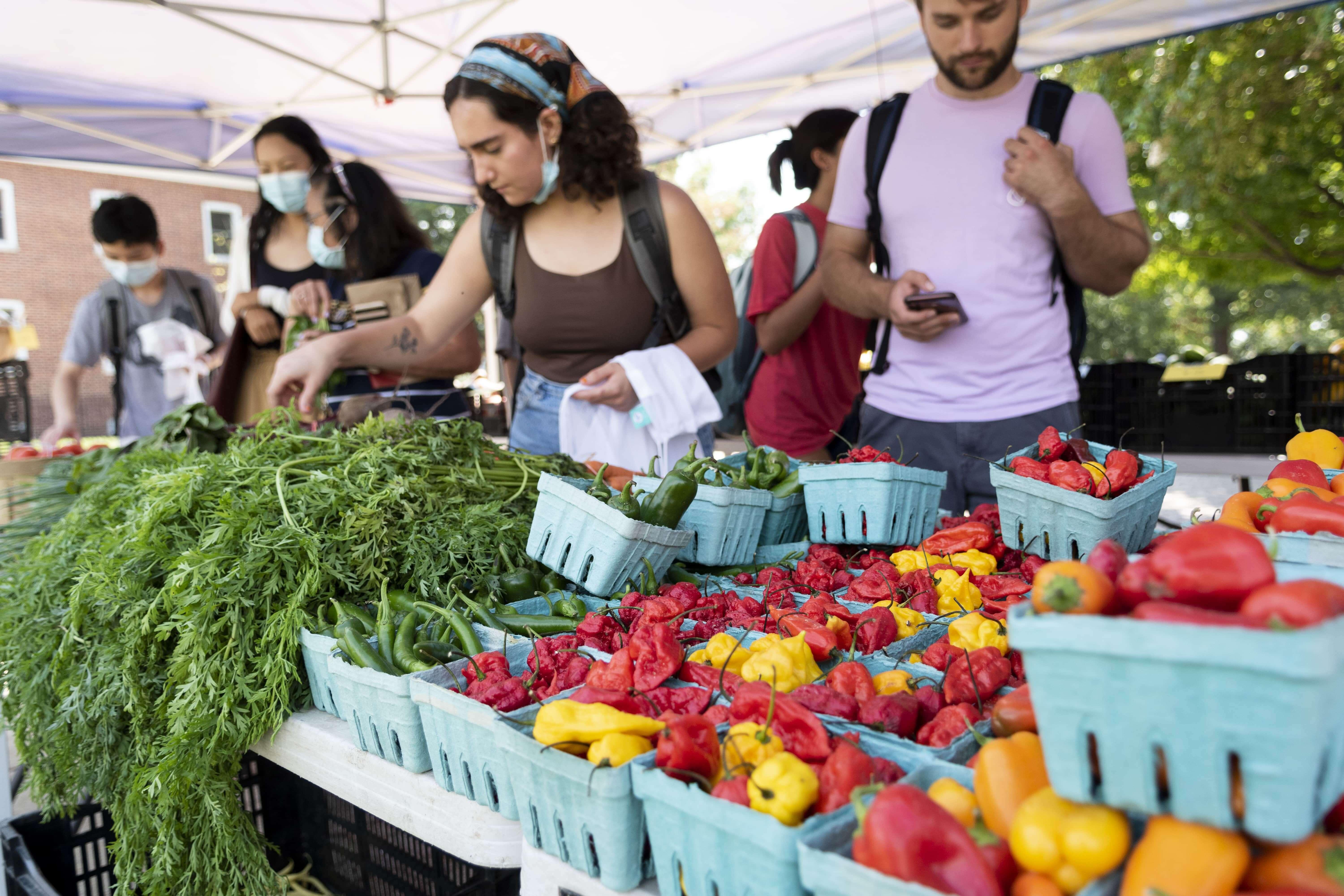 People selecting Farmers Market Vegetables