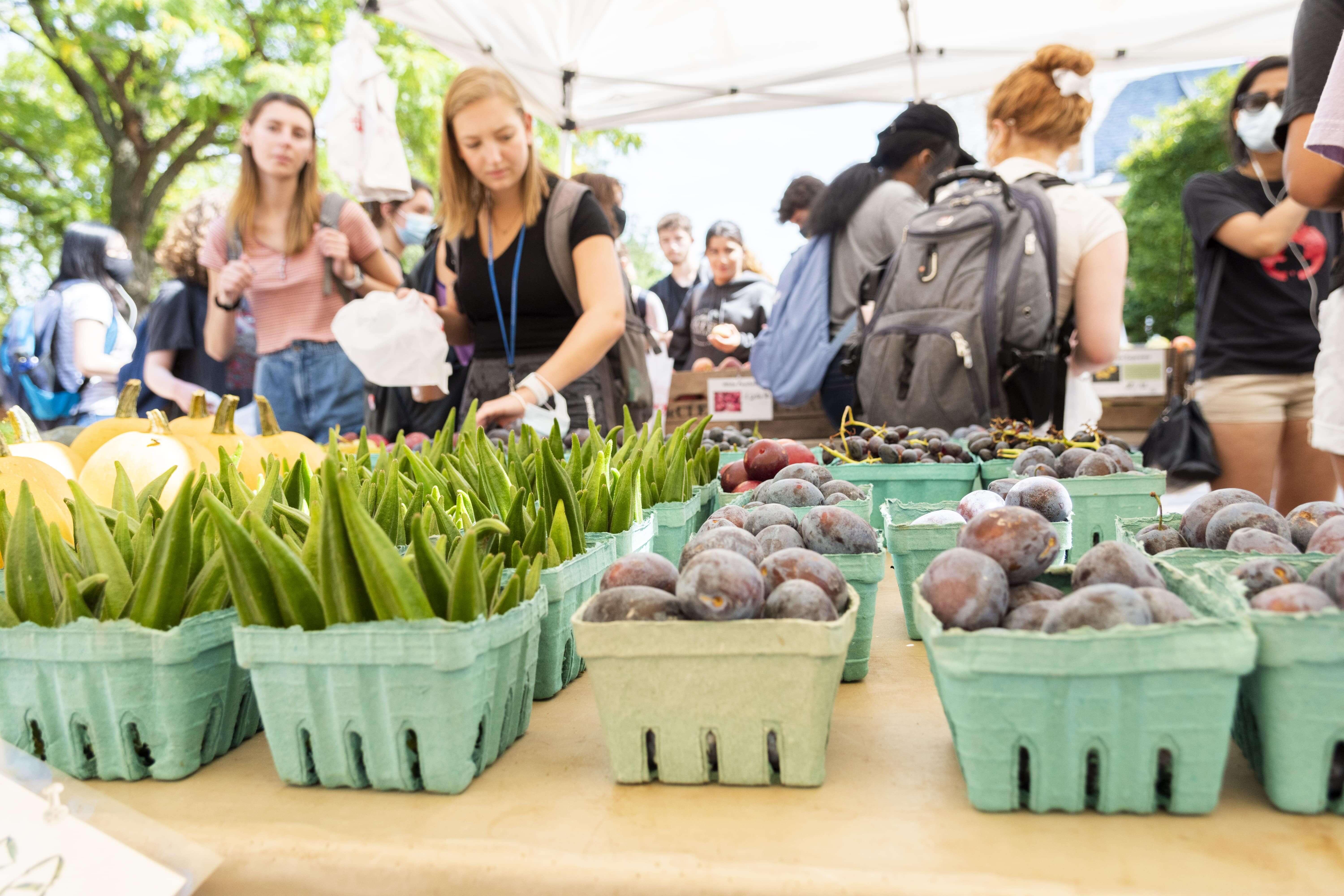 People selecting Farmers Market Vegetables