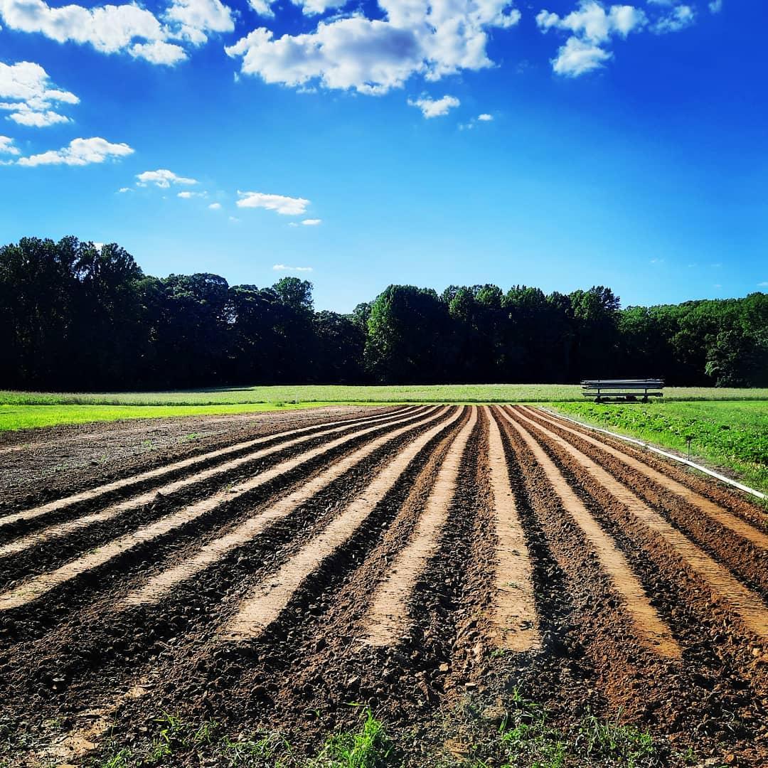 terp farm farmland